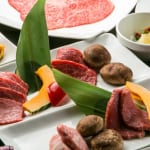 渋谷で美味しい肉を食べたい！ ハズレなしの肉料理10店