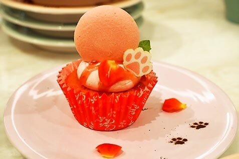 【メゾンエイブル カフェ ロンロン】のマカロンケーキ