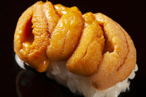 「鮨 やまけん 銀座」の雲丹寿司