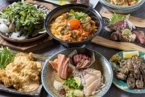 「炭火焼鳥と一口餃子 TORA鶏YA 難波千日前店」の料理例