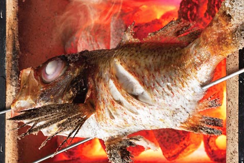 魚好き、日本酒好きにぴったり！ 新店『お魚総本家』が池袋にオープン 12/27（金）・28（土）は 名物料理を＜半額＞で提供！