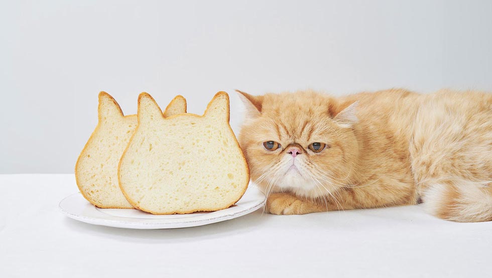 『ねこねこ食パン』のイメージ