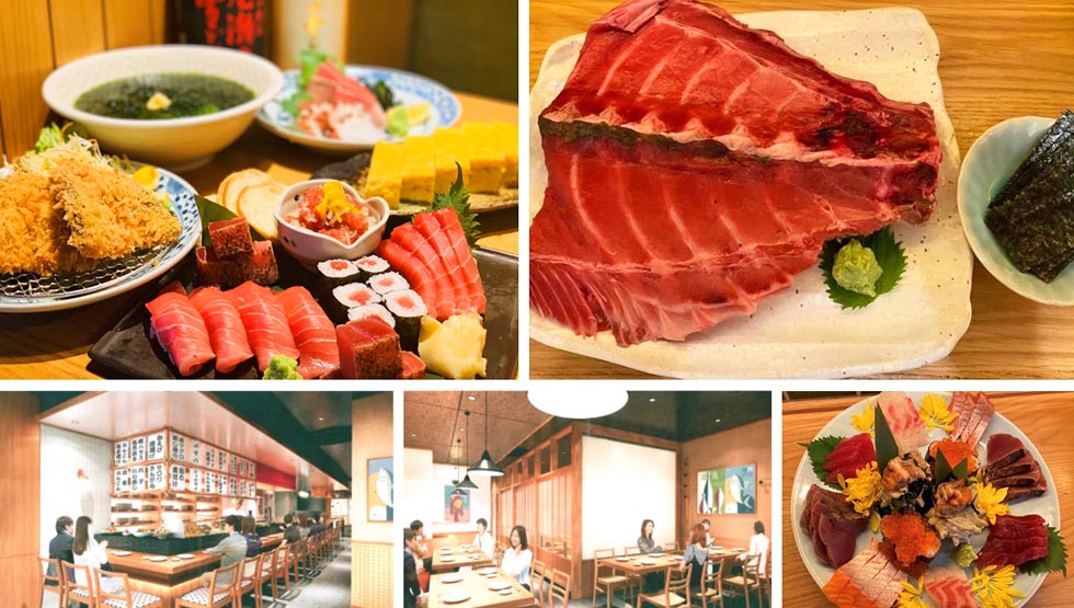 『マグロ食堂魚金』のイメージ画像