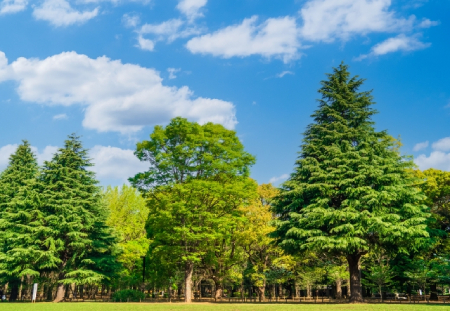 代々木公園