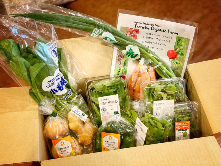 寺岡有機農場の定期野菜便