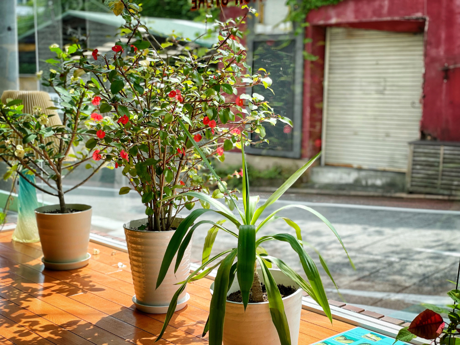 「BUY ME STAND 横浜元町店」の店内