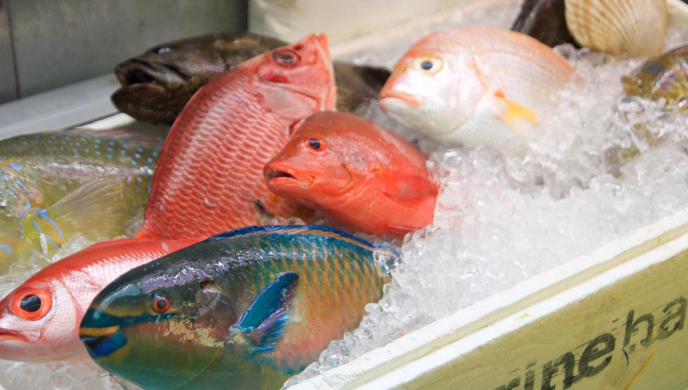 世界で消費される魚のイメージ