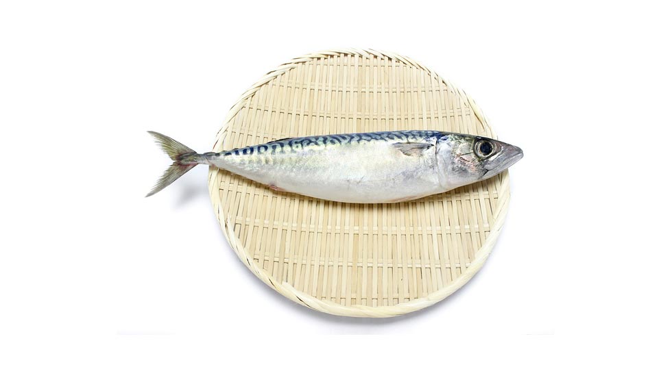 日本で消費される魚のイメージ