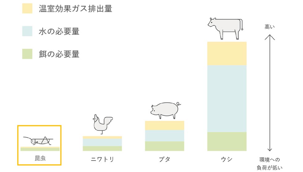 「食用コオロギ」に関するレポート
