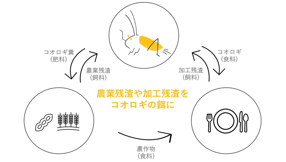 「循環型のフードサイクル」の図