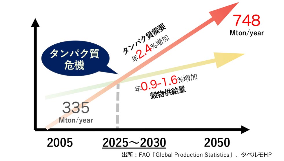 「タンパク質危機」に関するレポート