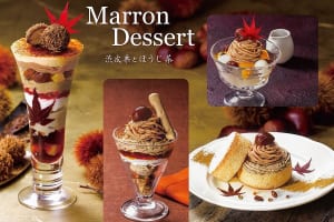 『Marron Dessert ―渋皮栗とほうじ茶―-index