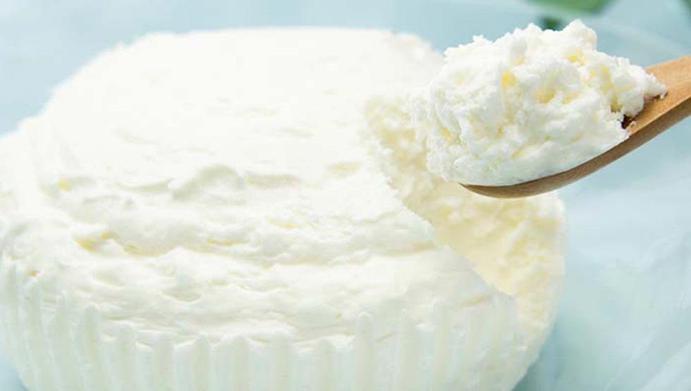 『プティ・シェーヴルHOKKAIDO』の「やぎミルクのレアチーズケーキ」