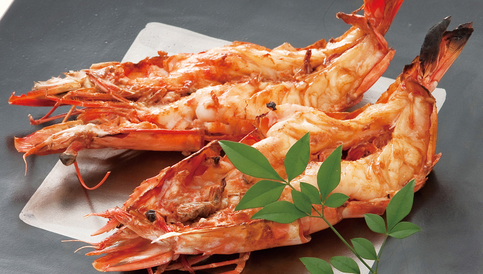 『お魚総本家 立川店』7/20（水）オープン！美味しい魚料理は立川で食べよう！