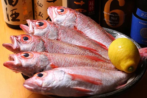 『秋葉原旨い魚と焼酎.地酒 美味研鑽 TETSU』の極上のノドグロ