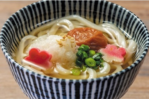 梅おろしうどん