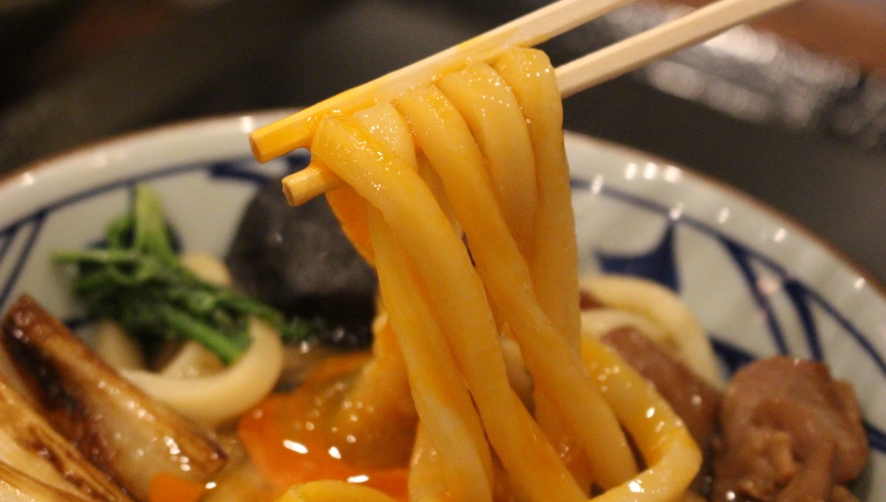 鴨すきうどん