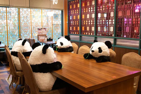 「中華レストラン PANDA」店内イメージ