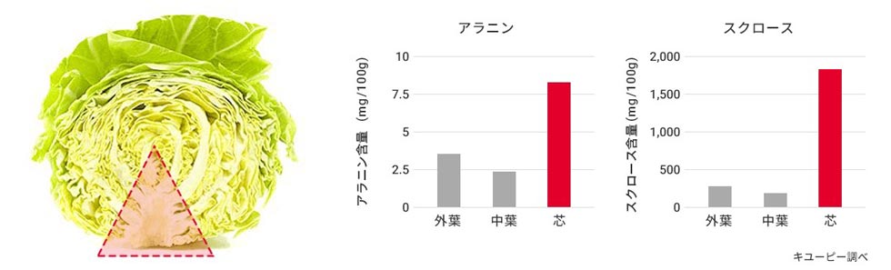 「キャベツの芯」と成分グラフ