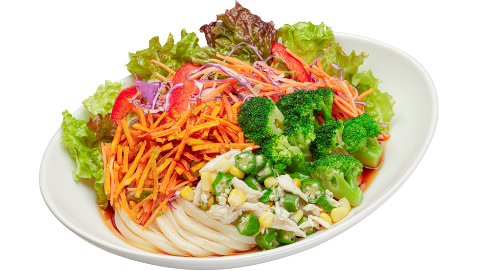 はなまるうどん「2種類のサラダうどんフェア／8種野菜のサラダうどん」