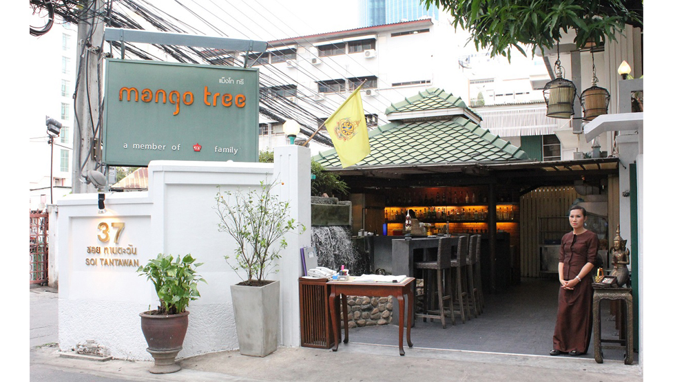 『mango tree』イメージ