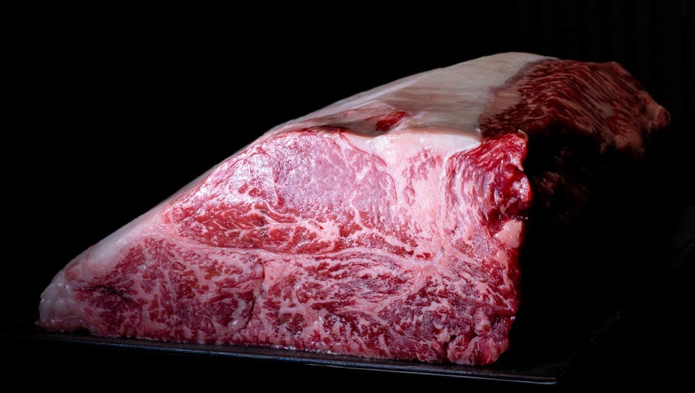 来栖けい氏が見極めた幻の牛を焼肉に！『焼肉 ここのみ』恵比寿に6/30誕生