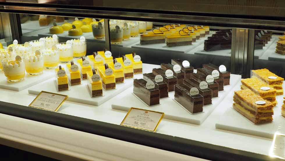 ショーケース