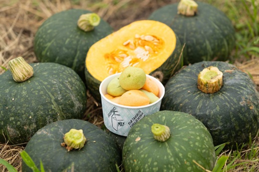 「もっちりボール 抹茶＆パンプキンミルク」