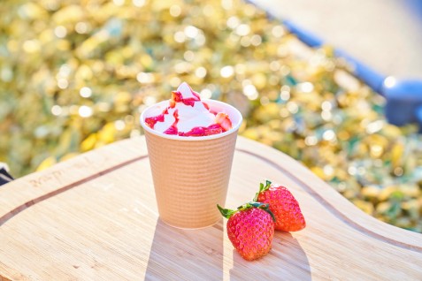 ハードロックカフェ 横浜　横浜赤レンガ倉庫「Yokohama Strawberry Festival 2024」出店商品