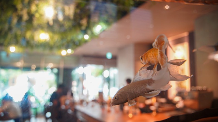 「i2 cafe （アイツーカフェ）」の内観