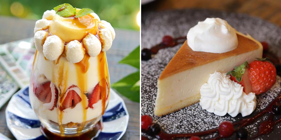 『ANTIQUA TREE CAFE(アンティカ ツリー カフェ)』の「純喫茶プリンアラモードパフェ」と「スペイン生まれの焦がしバスクチーズケーキ」