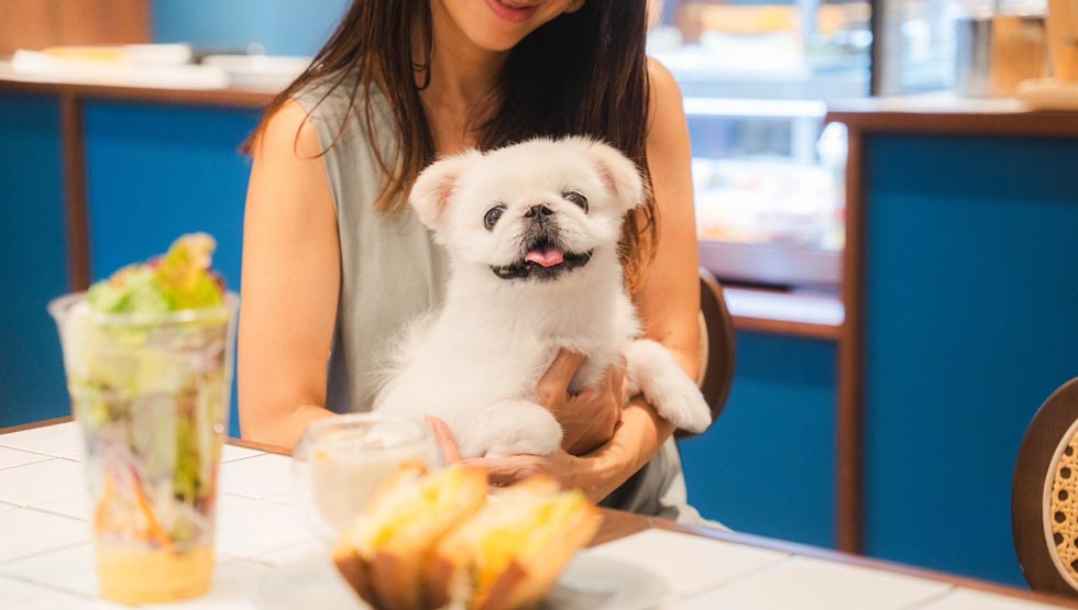『ミッドツリー代官山』の店内