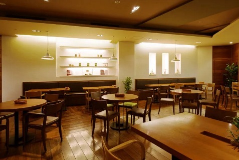 『チャヤナチュラル＆ワイルドテーブル日比谷シャンテ店』の店内