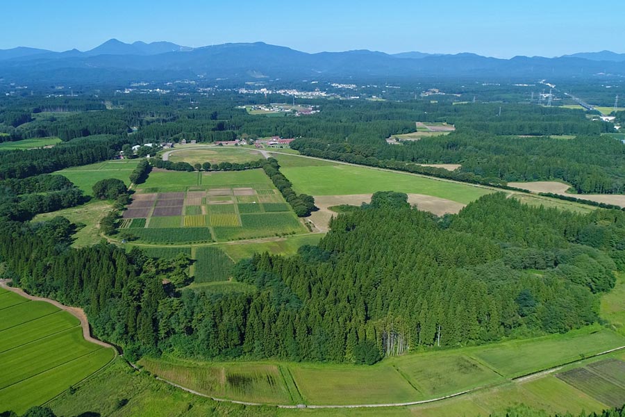 東北牧場
