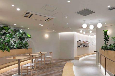 『ITOCHU SDGs STUDIO RESTAURANT星のキッチン』の明るく広々とした店内