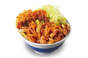 『かつや』「ホルモン焼きうどんとチキンカツの合い盛り」