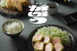 もう普通のとんかつには戻れない『東京とんかつ がぶう』上野に4/25オープン！