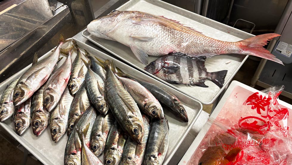 新幹線輸送の朝獲れ鮮魚も！ プレミアム回転寿司『無添蔵 中目黒店』中目黒に5/29オープン