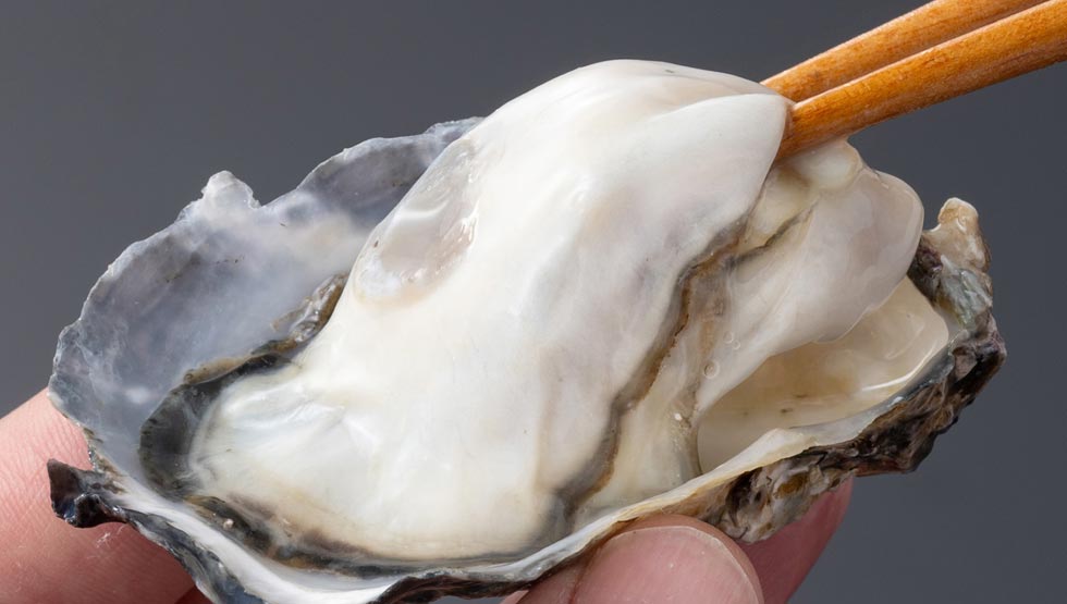 国産の「生牡蠣」が驚愕の税込100円！『庄や』『大庄水産』『満天酒場』など全国159店舗でキャンペーン開催！