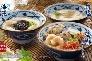 「冷たーい旨塩うどん」7/8より発売
