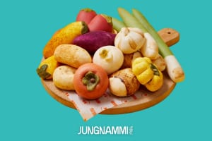 「ジョンナンミミョンガ（JUNGNAMMI）」