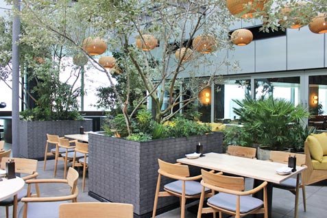 『The Public Place』のテラス席